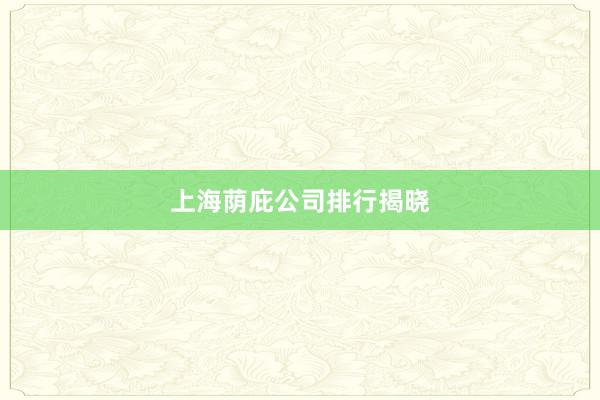 上海荫庇公司排行揭晓