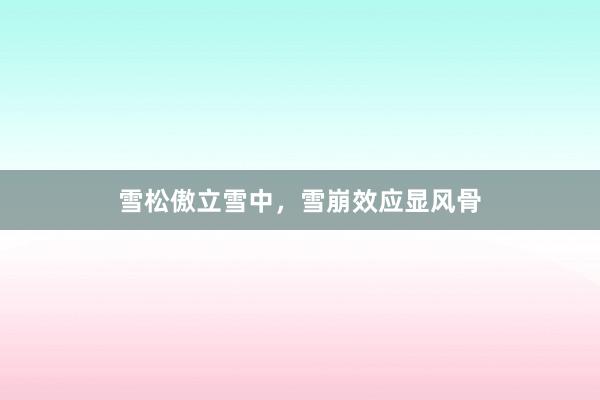 雪松傲立雪中，雪崩效应显风骨