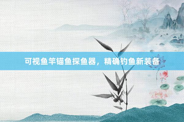 可视鱼竿锚鱼探鱼器，精确钓鱼新装备